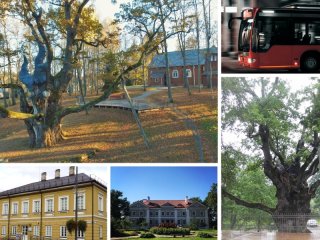 Zarasų krašto muziejaus nemokama ekskursija į muziejaus padalinius