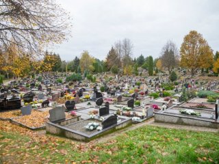 Vėlinės – metas prisiminti ne tik išėjusius artimuosius, bet ir rūpintis aplinka