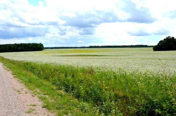 Mokymų naujienos