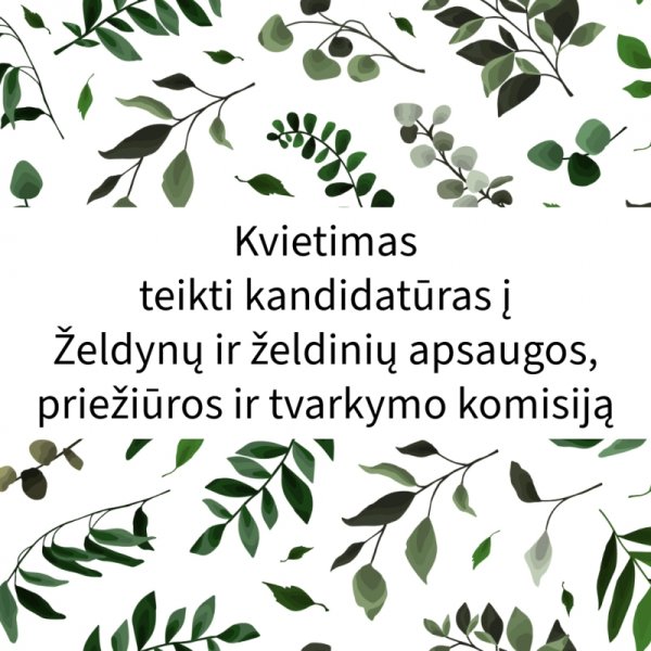 Mokymų naujienos