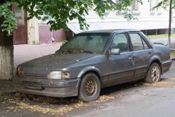 Mokymų naujienos