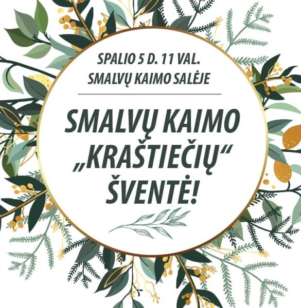 Mokymų naujienos