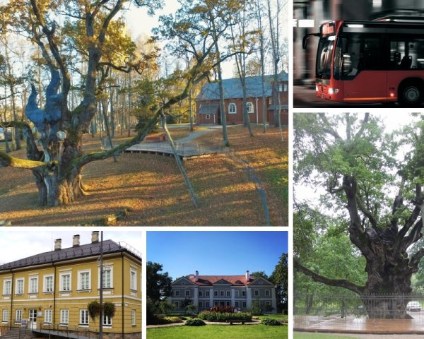 Mokymų naujienos
