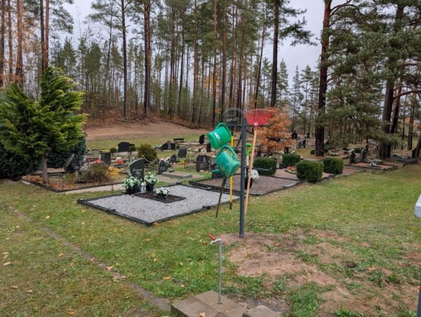 Mokymų naujienos