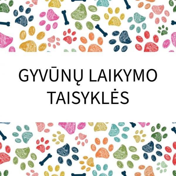 Mokymų naujienos