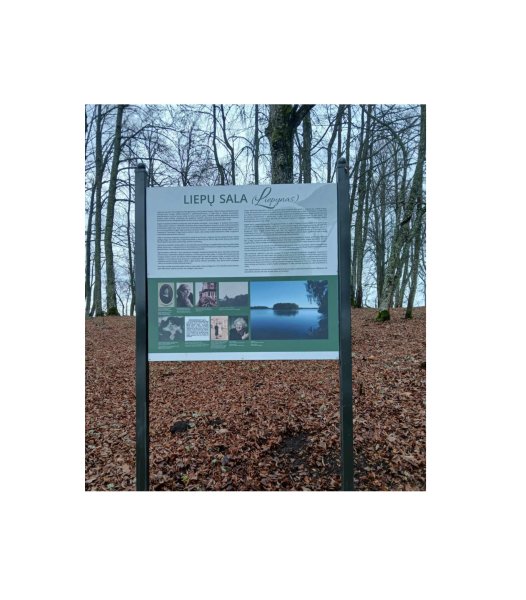 Mokymų naujienos