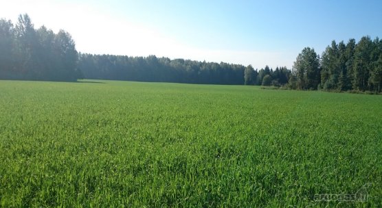 Mokymų naujienos