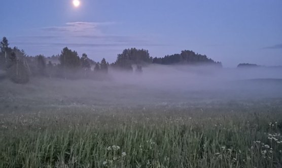 Mokymų naujienos