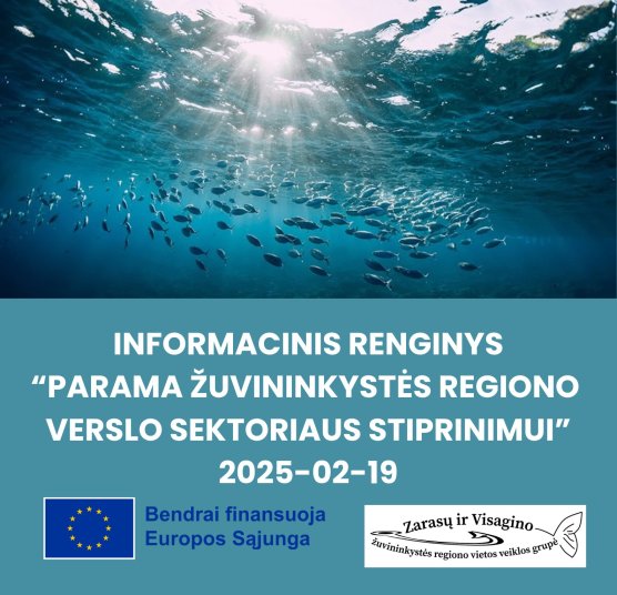 Mokymų naujienos