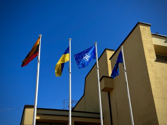 Mokymų naujienos