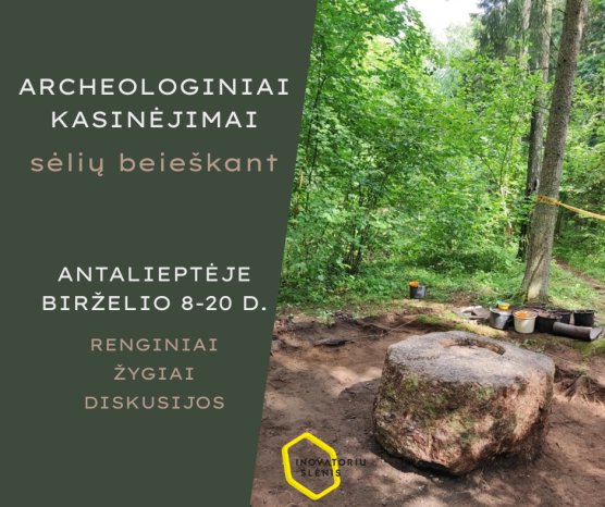 Mokymų naujienos