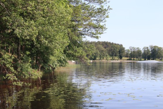 Mokymų naujienos