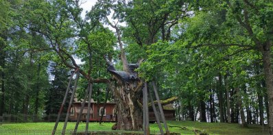 Stelmužės dvaro paslaptys: archeologai atvėrė naujų istorijos klodų