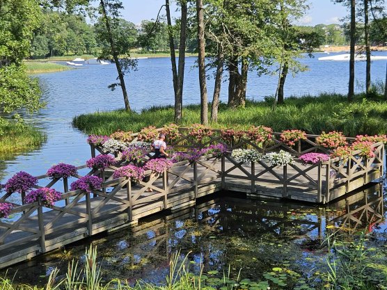 Mokymų naujienos