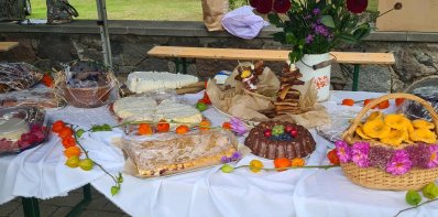 Zarasai pražydo rudens spalvomis ir gėrybėmis