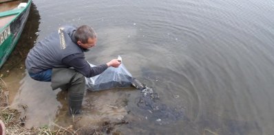 Vandens telkinių įžuvinimas Zarasų rajone