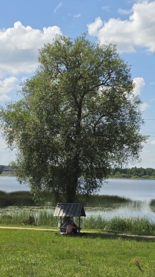 Mokymų naujienos