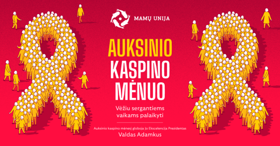 Mokymų naujienos