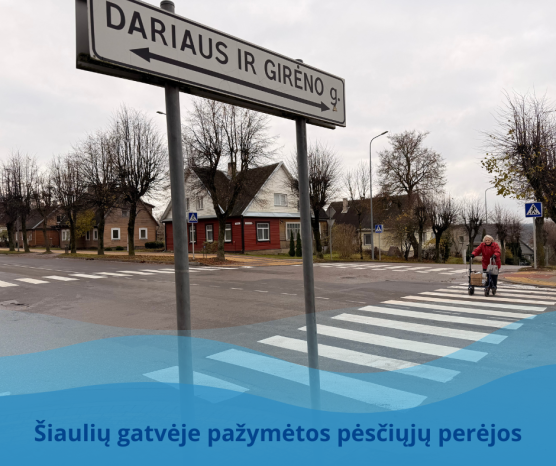 Naujienų migravimo testas