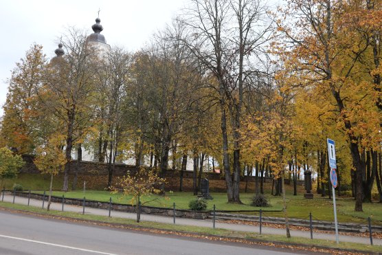 Mokymų naujienos