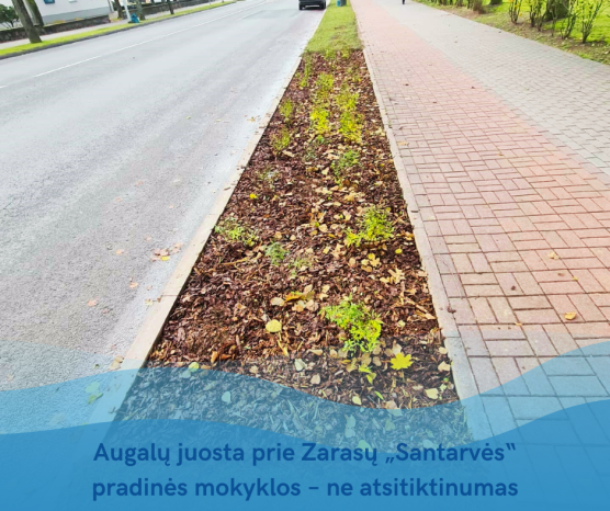 Mokymų naujienos