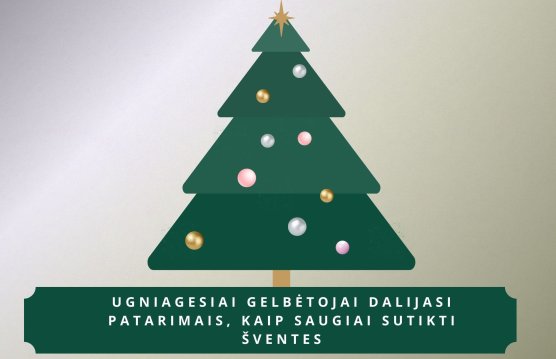 Naujienų migravimo testas