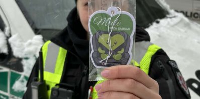 „Meilė veža saugiai“ – žalios širdelės pasklido visoje Lietuvoje
