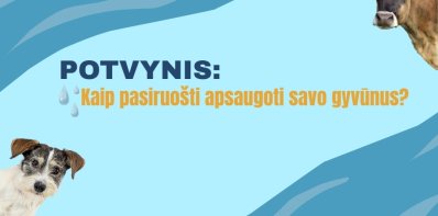 VMVT atmintinė gyvūnų laikytojams: pasitikrinkite, ar esate saugioje nuo potvynių zonoje