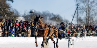 Įvyko ristūnų žirgų lenktynės „Sartai 2026“ Dusetose – greitis, tradicija ir Raudonojo ugninio...