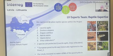 Įgyvendinant projektą „UrbUmbrella“ įvyko nuotolinis tarpvalstybinis mokymosi renginys 