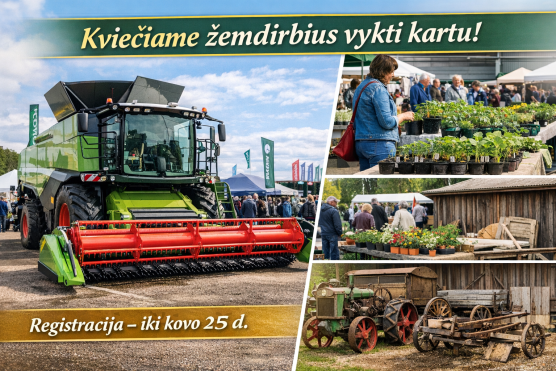 Naujienų migravimo testas