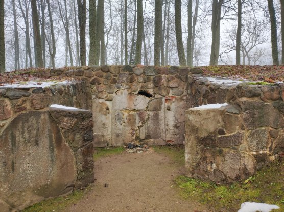 Mokymų naujienos