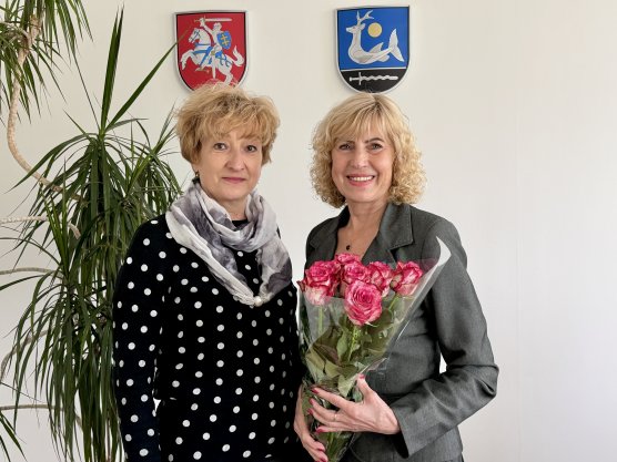 Mokymų naujienos