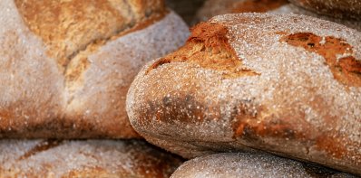 Zarasų rajono savivaldybės įmonių sąrašas: 81 įmonės apyvarta 2025 metais siekė 113,1 mln. Eur