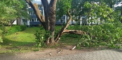 Zarasų rajone intensyviai šalinami audros padariniai – telkiamos visos turimos pajėgos