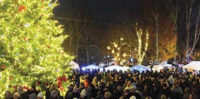 Skelbiama visuotinė paieška: Zarasai dairosi Kalėdų eglės!